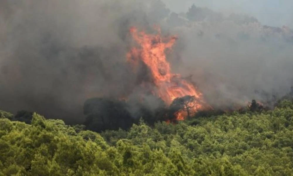 Συναγερμός στην Πυροσβεστική: Πύρινα μέτωπα στο Φίχτι Αργολίδας και στη Μάνδρα Αττικής